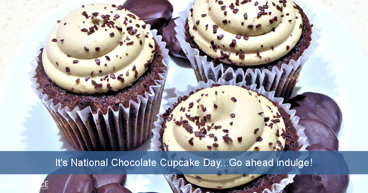 It's National Chocolate Cupcake Day...Go ahead indulge!