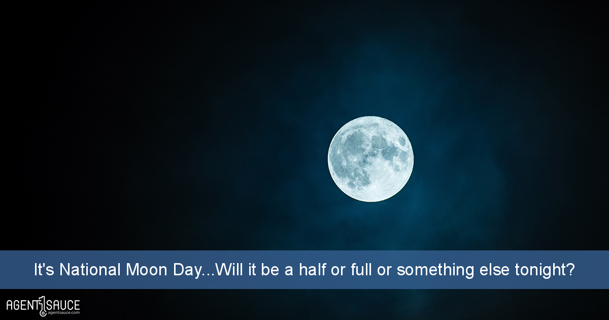 It's National Moon Day...Will it be a half or full or something else tonight?