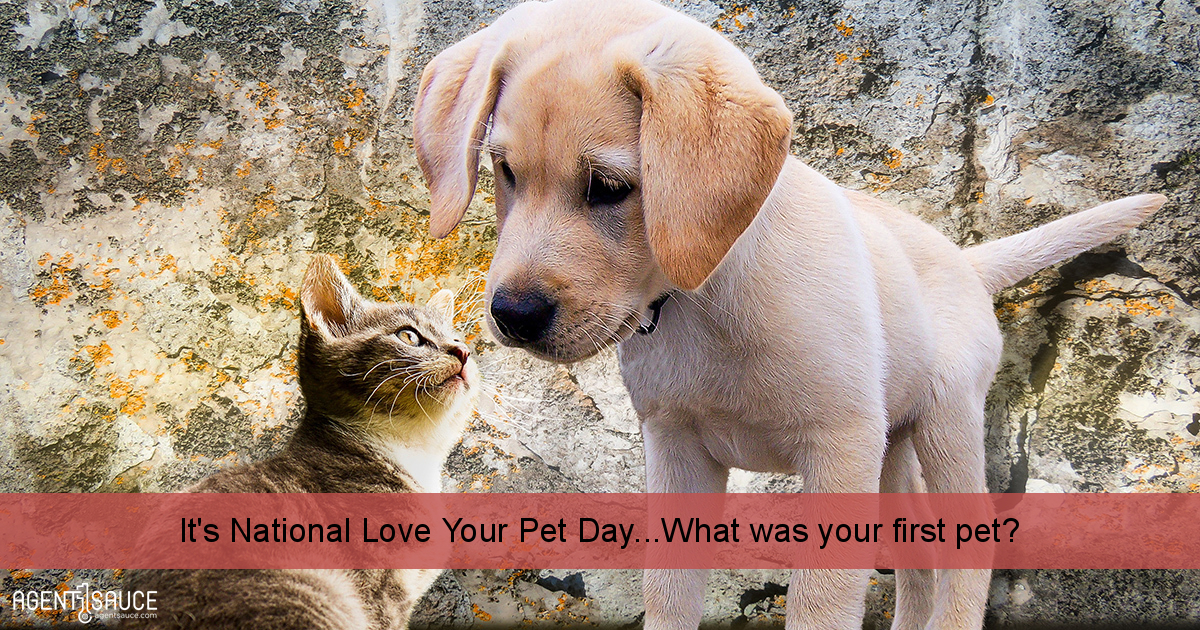 It's National Love Your Pet Day