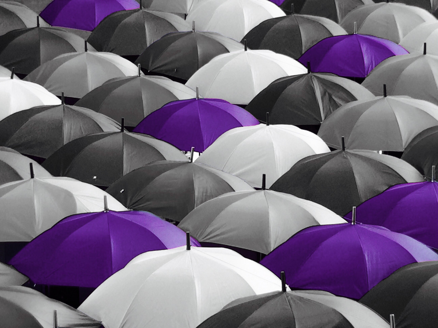 Do I need a personal umbrella policy