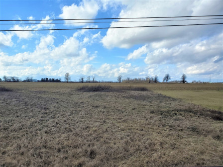 latest property