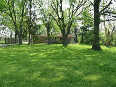 latest property