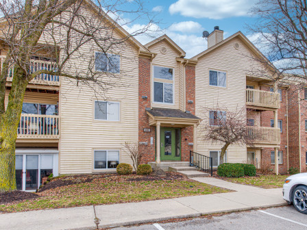 latest property