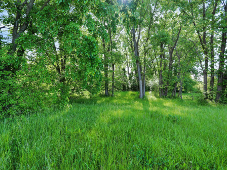latest property