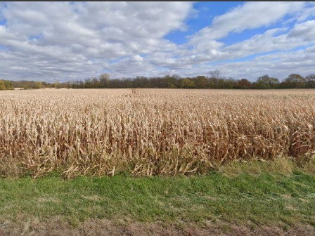 latest property