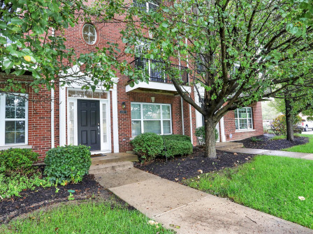 latest property
